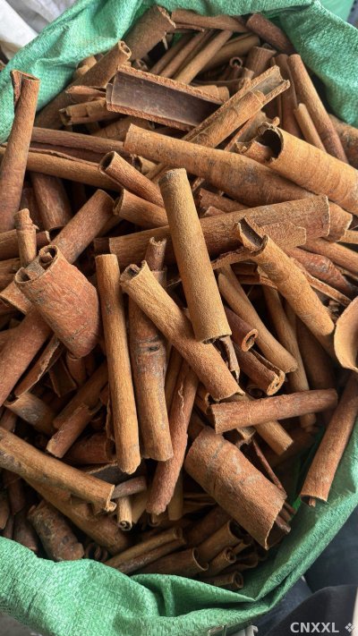 spice_10150_6dc5218b_2.jpg