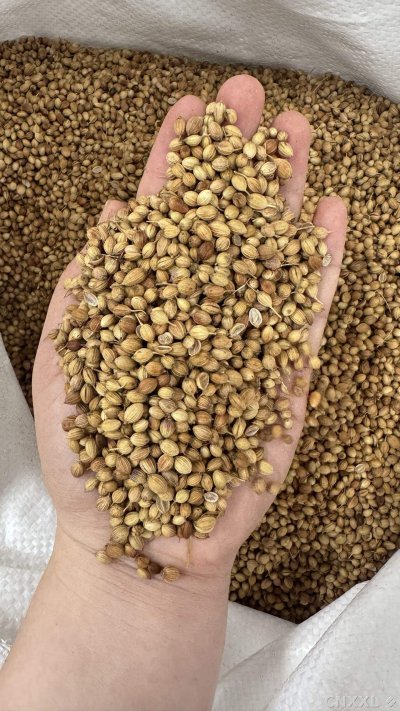 spice_10157_1e8eab1d_1.jpg