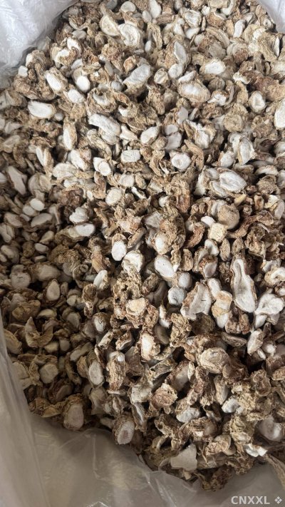 spice_1052639_f2ffbe62_3.jpg