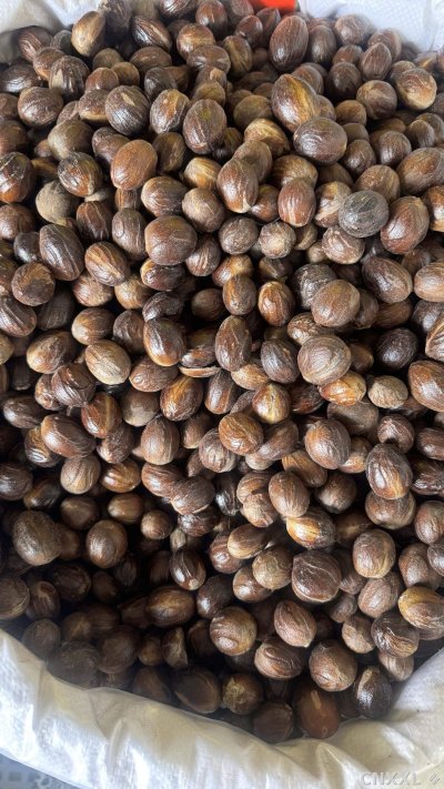 spice_1062666_114f19a8_2.jpg