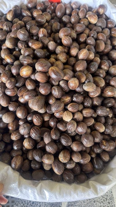 spice_1062666_7b0c076c_3.jpg