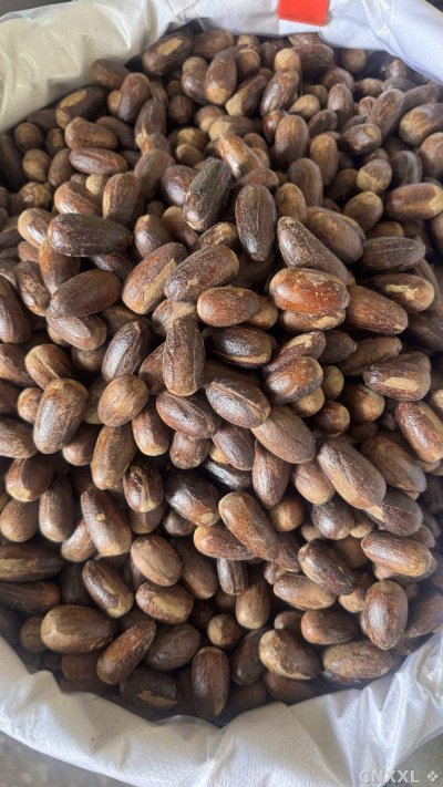 spice_1062667_5bd8dfb6_2.jpg