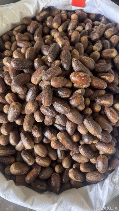spice_1062667_855ac18f_3.jpg