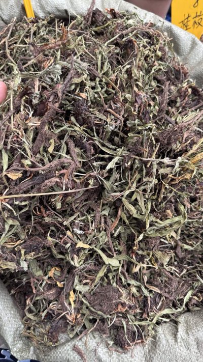 spice_10651_4c50c93a_3.jpg