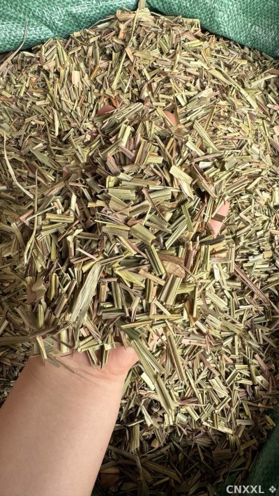 spice_10678_2e3e26d0_1.jpg