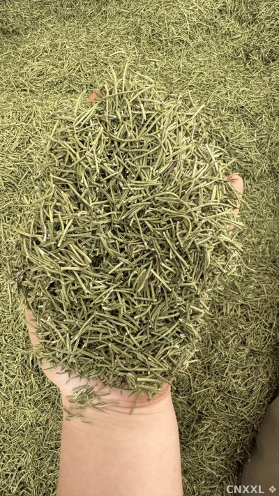 spice_10679_03f545ab_2.jpg