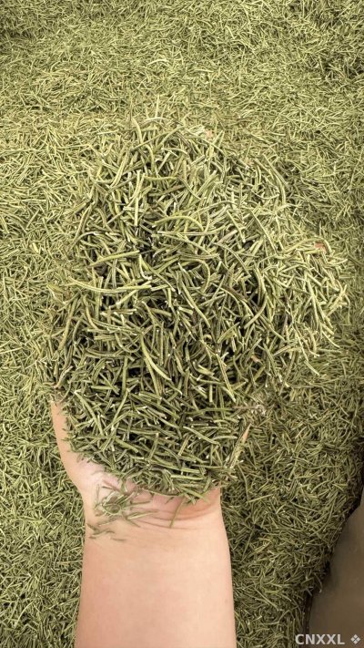 spice_10679_7f8de159_1.jpg