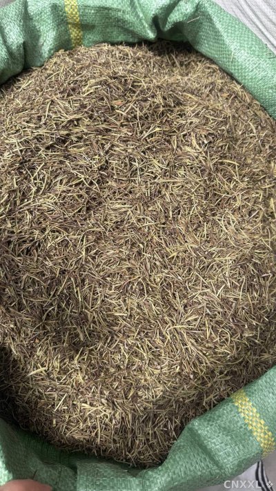 spice_10680_cd0c7bdc_3.jpg