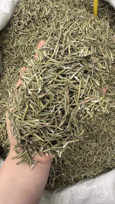 spice_10681_ba578dc1_1.jpg