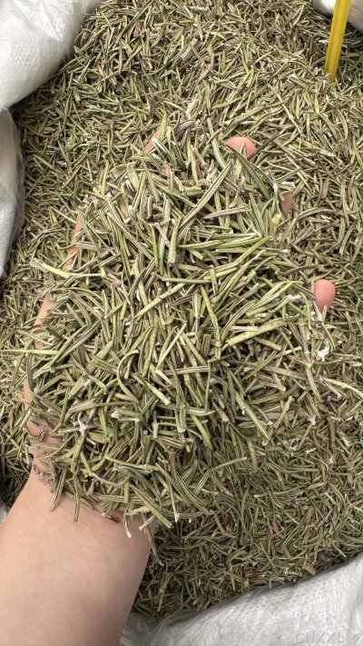 spice_10681_c71ceeb5_2.jpg
