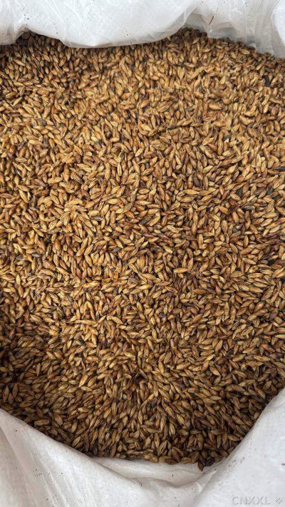 spice_10682_3d6c24c0_3.jpg