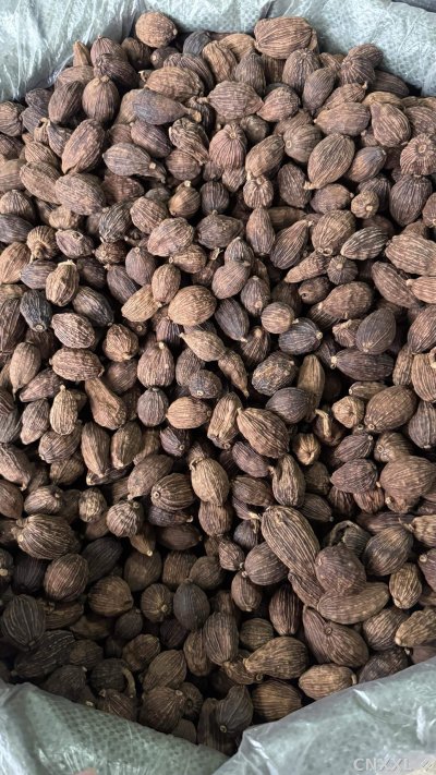 spice_10693_f0eca77d_2.jpg