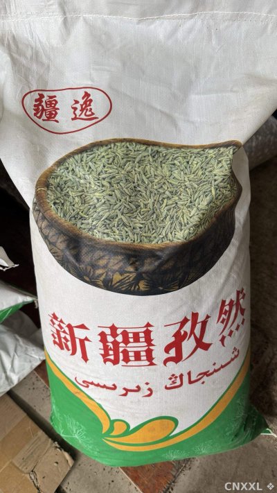 spice_10715_0d36e001_3.jpg