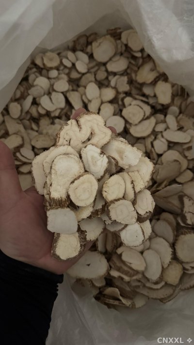 spice_10720_46f20940_1.jpg