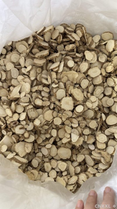 spice_10722_21f0d388_3.jpg