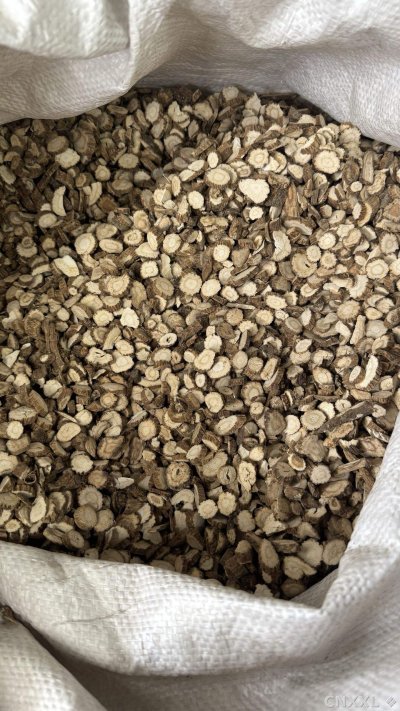 spice_10723_2f558853_3.jpg
