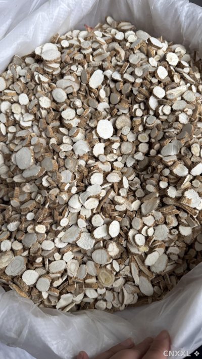 spice_10725_de6b666d_3.jpg
