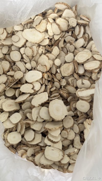 spice_10733_1df398e4_3.jpg