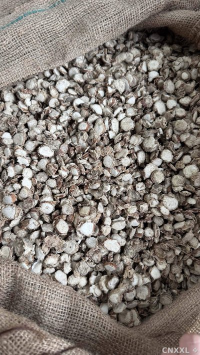 spice_10741_f1c50950_3.jpg