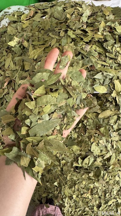 spice_10743_61b8daf4_1.jpg