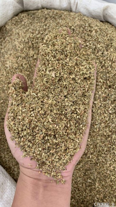 spice_10749_80cfeb18_1.jpg