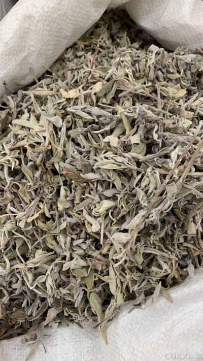 spice_10752_31132f4b_3.jpg
