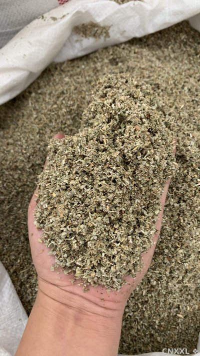 spice_10753_3537da05_2.jpg