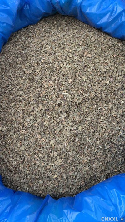 spice_10754_7491daeb_3.jpg