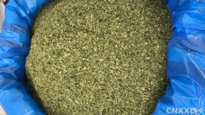 spice_10755_a35e91dc_3.jpg
