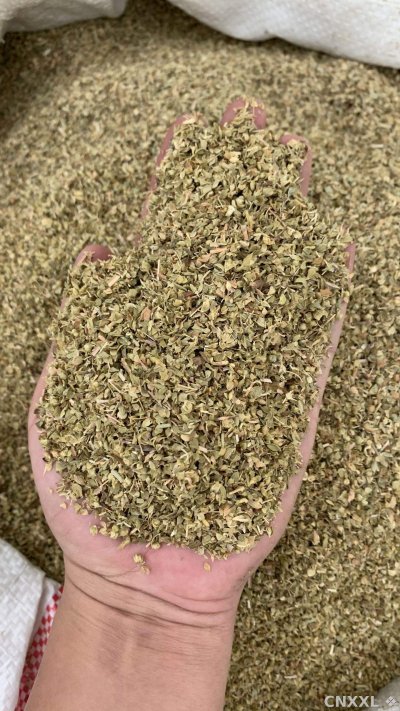 spice_10757_4db7be66_2.jpg