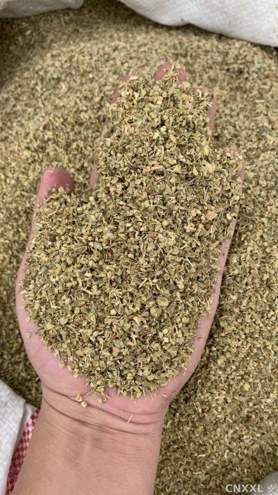spice_10757_6178ee8f_1.jpg