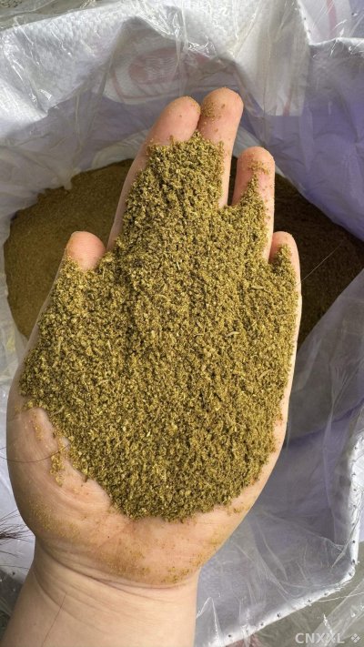 spice_10901_20cb35d7_1.jpg
