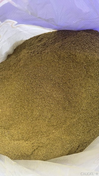 spice_10901_5c71d29f_2.jpg