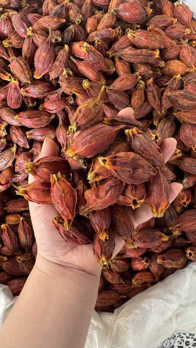 spice_1095162_e1e4c80b_1.jpg