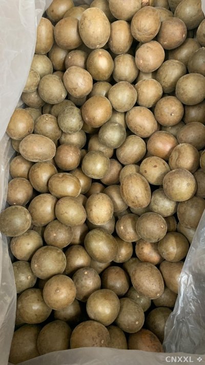 spice_11157_26f129e8_3.jpg