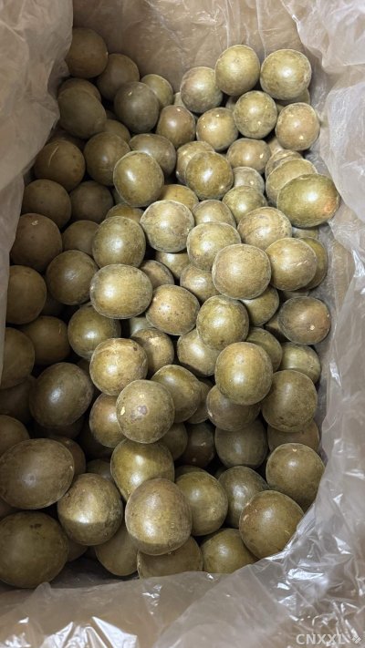 spice_11158_2fda46ca_3.jpg