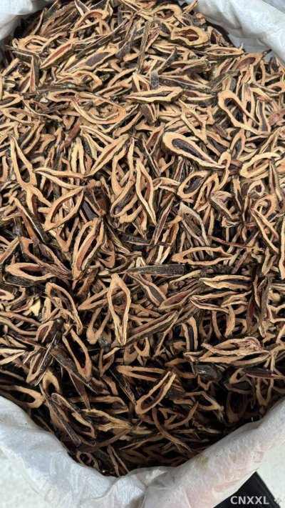 spice_11191_a6544757_3.jpg