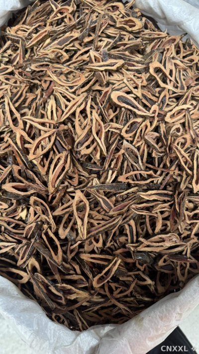 spice_11191_cf42468b_2.jpg