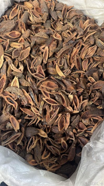 spice_11192_900047be_3.jpg
