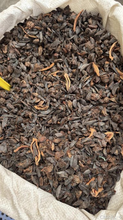 spice_11196_60819c0f_3.jpg