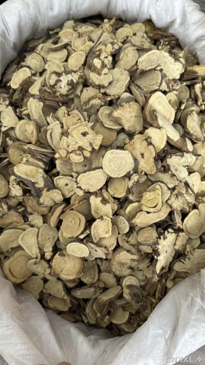 spice_11230_c9a26453_3.jpg