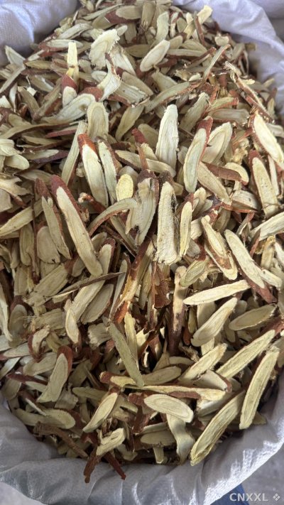 spice_11232_5445a019_3.jpg