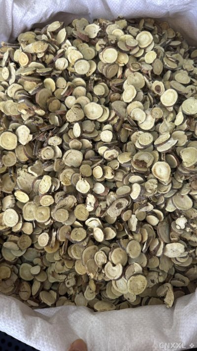spice_11234_02f85888_3.jpg