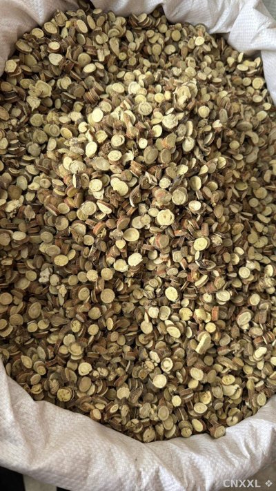 spice_11236_17a3511d_3.jpg