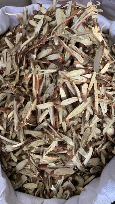spice_11242_558c1c22_3.jpg