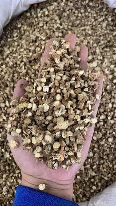 spice_11246_6cc6648b_2.jpg