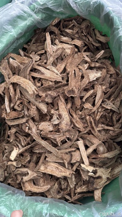 spice_11262_4f970871_2.jpg