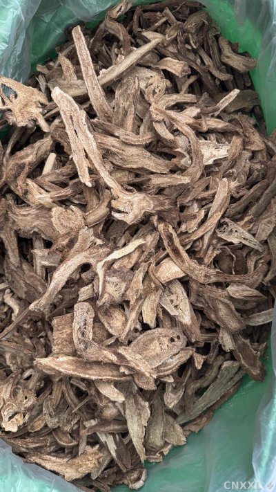 spice_11262_be82ad19_3.jpg