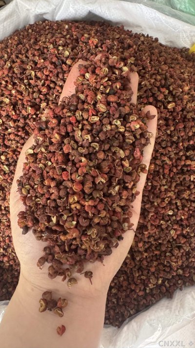 spice_11269_4d653166_2.jpg