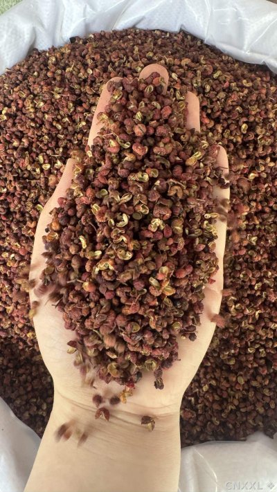 spice_11270_c2e7c43a_2.jpg
